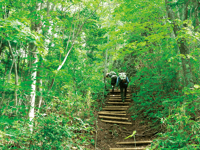 札幌嶽·八劍山 (輕登山)