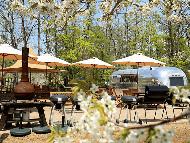 奧定山溪神威之森 (定山溪農場)